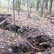 Illustration for article titled We Finally Know What Caused This Mysterious Crack in a Michigan Forest